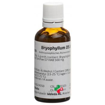 Weleda Bryophyllum D5/Conchae D7 aa dil 50 ml